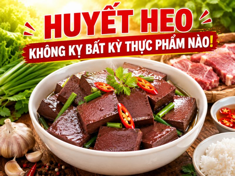 thac-mac-huyet-heo-ky-voi-gi